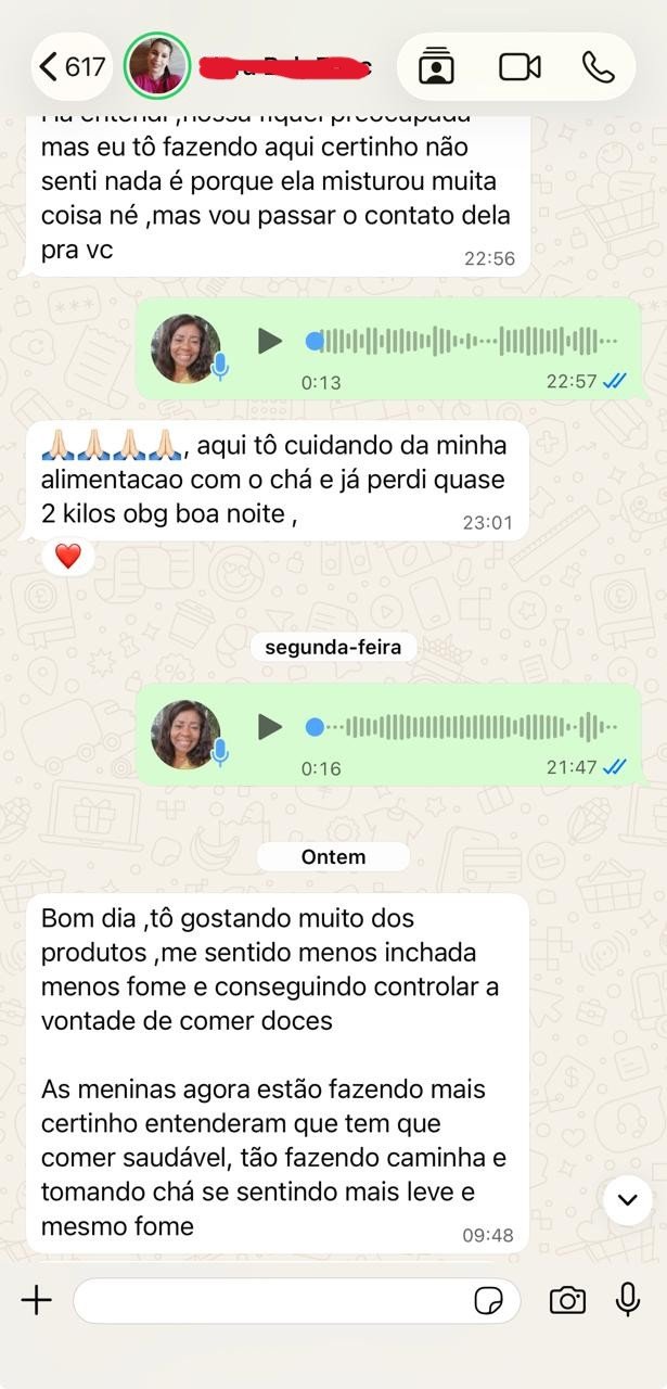 Conversa sobre pedido do Projeto Reset pelo WhatsApp